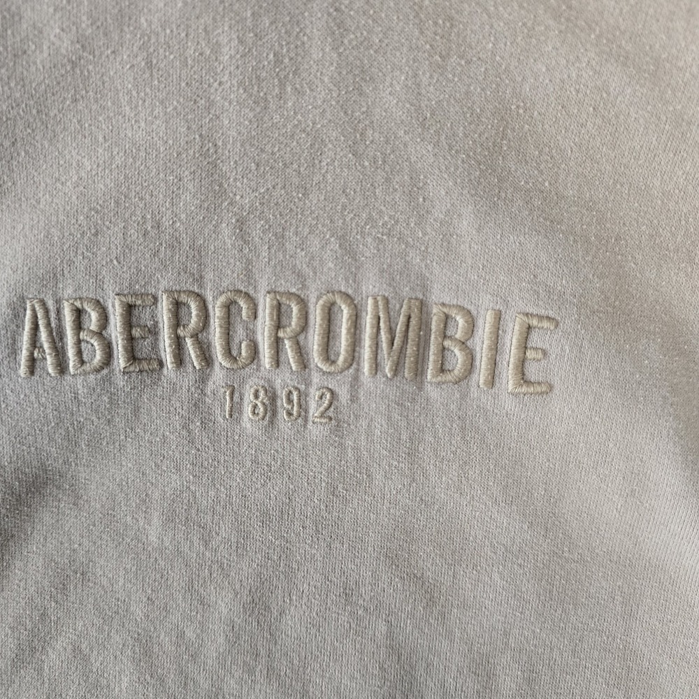 Abercrombie Kids Hoodie Youth 13/14 Beige Pullover Kangaroo Pocket - Picture 3 of 16